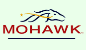 mohawkLogo