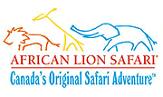 logo-lionsafari