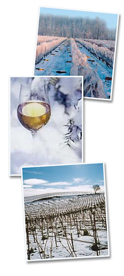 img-icewine