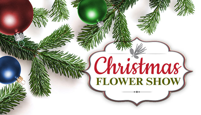 Christmas Flower Show