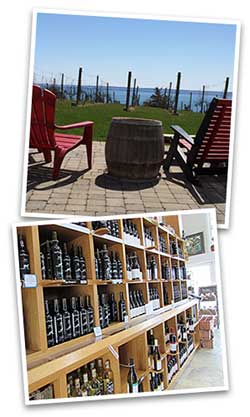 picton wineries