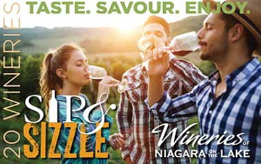 Sip and Sizzle – Wine and Food Tasting Event