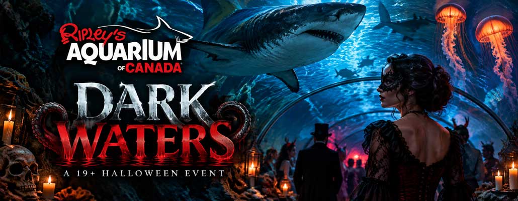 Dark Waters Returns to Ripley’s Aquarium