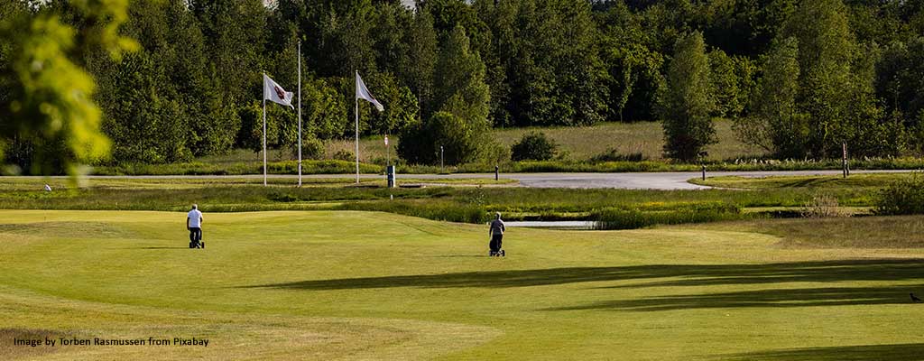 Participate in the Green for a Good Cause!