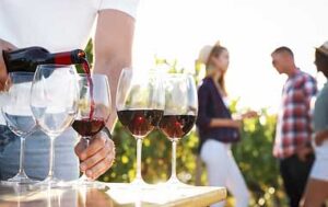 Top Things to Do in Ontario Wine Country This Spring & Summer