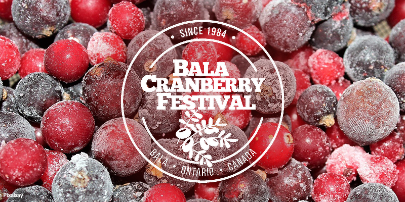 Discover the Bala Cranberry Festival: Muskoka’s Autumn Celebration