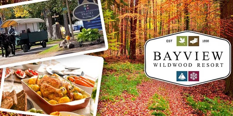 Autumn Escapes at Bayview Wildwood Resort: A Muskoka Retreat