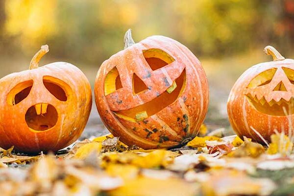 The Great Pumpkin Trail at Hendrie Park, Family fun