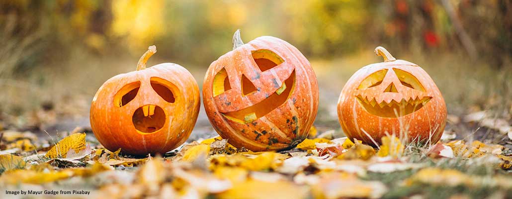The Great Pumpkin Trail at Hendrie Park, Family fun