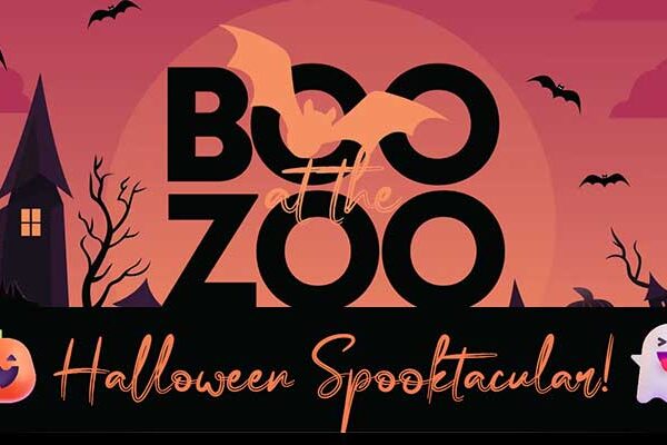 Boo at the Zoo: A Spooky Adventure, Family fun