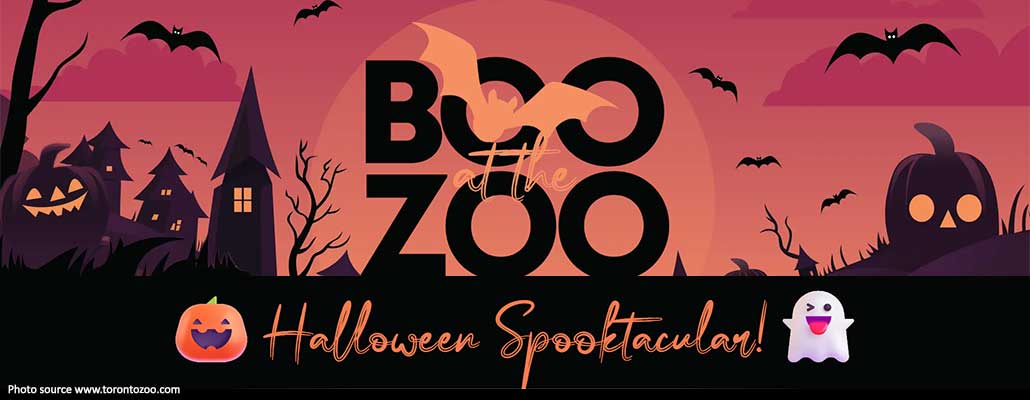 Boo at the Zoo: A Spooky Adventure, Family fun