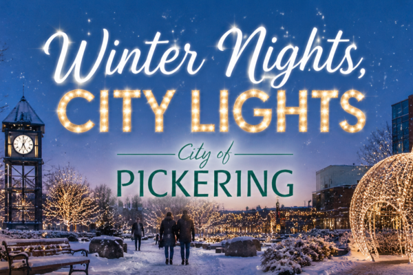 Winter Nights, City Lights: A Magical Start to the Festive Season