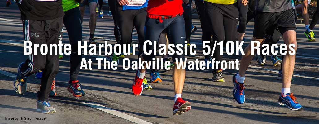 Bronte Harbour Classic 5K Race: A Father’s Day Celebration in Oakville