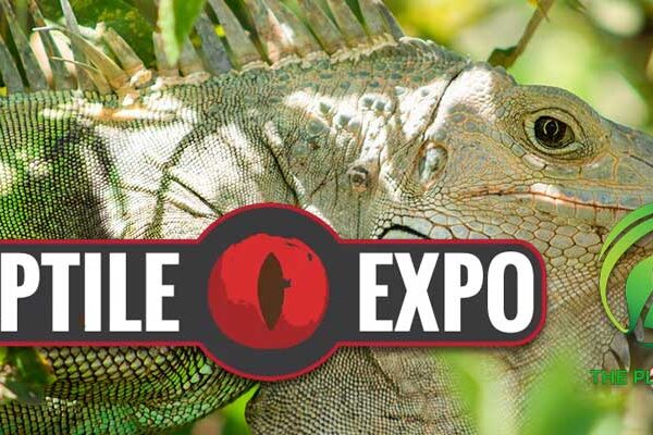 Reptile & Plant Expo