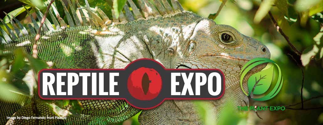 Reptile & Plant Expo