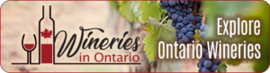 Discover Wineries in Ontario