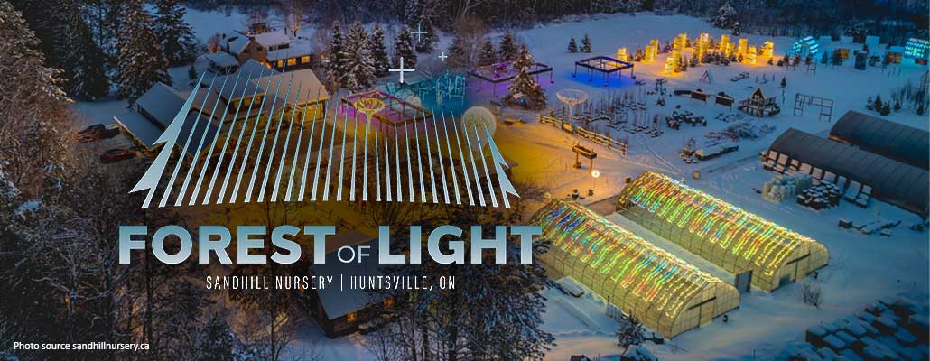 Forest of Light Returns to Muskoka for Winter