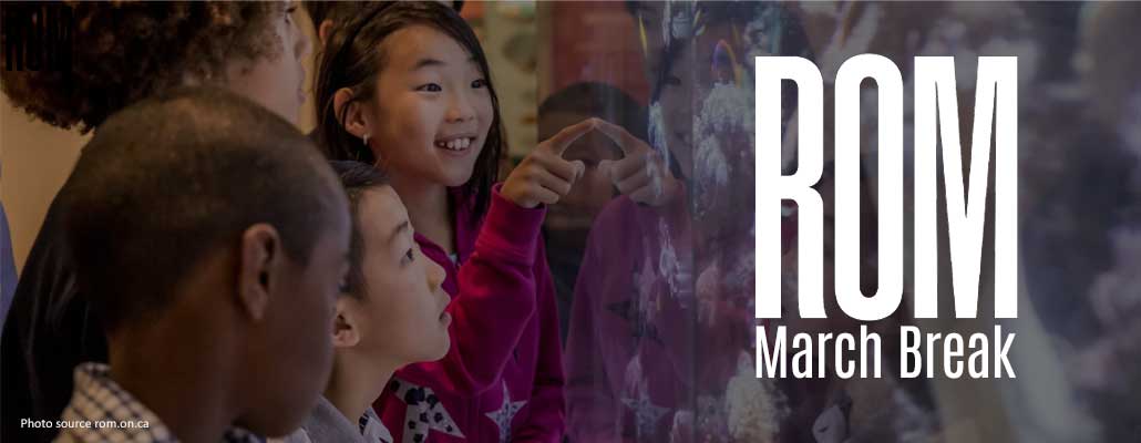 Explore the Wild at ROM March Break 2026