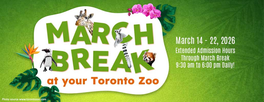 Thrills and Wildlife: Toronto Zoo March Break Fun
