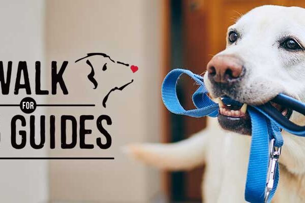 Pet Valu Walk for Dog Guides Returns Across Ontario
