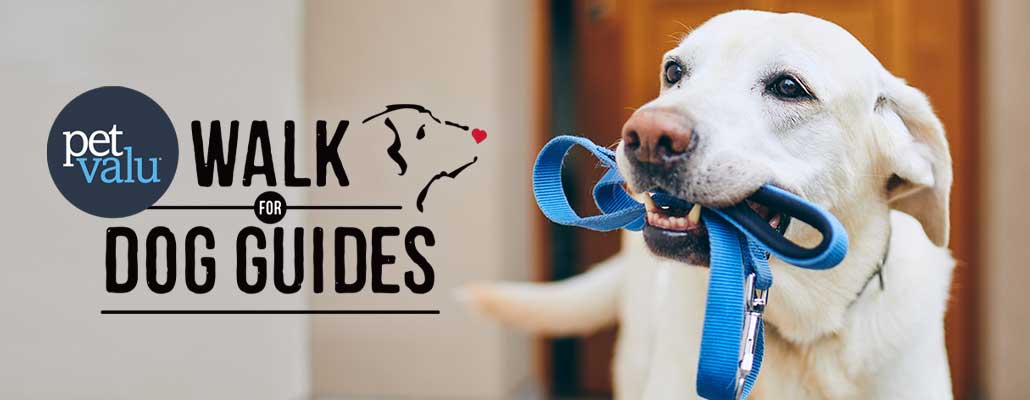 Pet Valu Walk for Dog Guides Returns Across Ontario