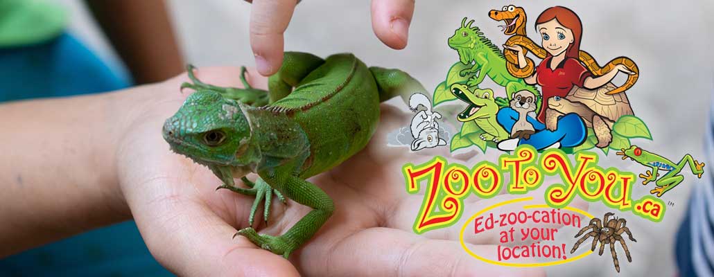 March Break with Zoo To You Brings Interactive Animal Encounters to Barrie
