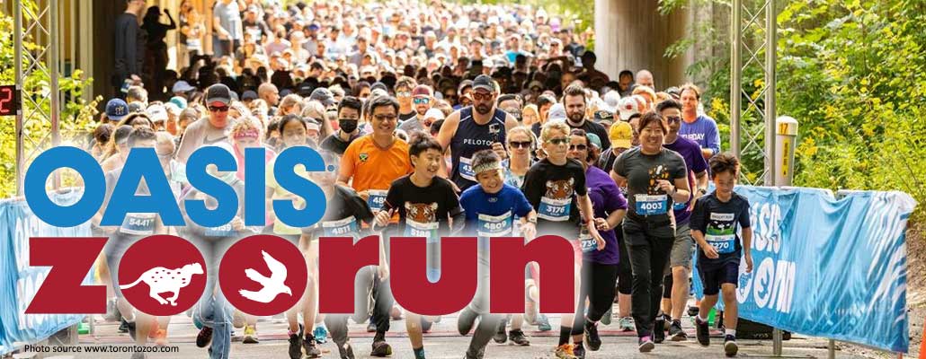 Run for Wildlife: Oasis ZooRun