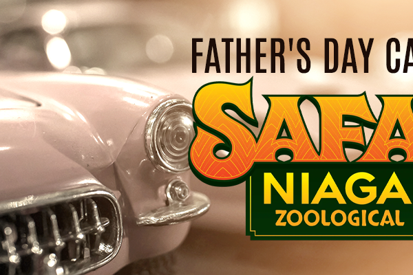 Father’s Day Car Show at Safari Niagara