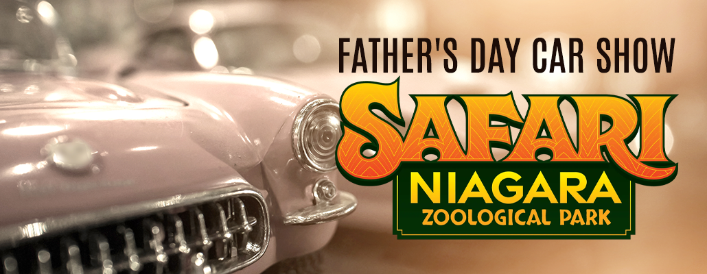 Father’s Day Car Show at Safari Niagara