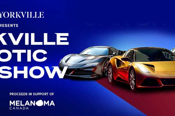 Yorkville Exotic Car Show